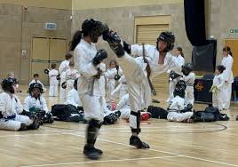 Image result for Reading Wtf Taekwondo