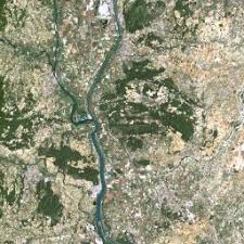 Attēlu rezultāti vaicājumam “Geocrypta galii”