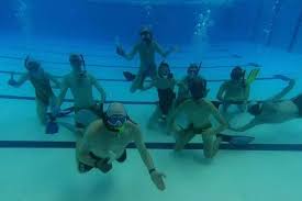 Image result for Sheffield Octopush Club