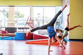 Image result for Halifax Sports Acro Gymnastics Club