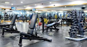 Image result for David Lloyd Solihull Cranmore