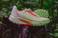 Adidas Terrex Agravic Flow 2 Review: On the Right Trail - Believe ...