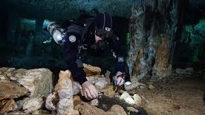 Image result for Aztec Divers