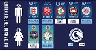 Image result for Crowborough Athletic Football Club