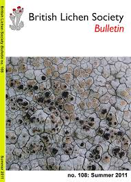 Attēlu rezultāti vaicājumam “Hypocenomyce friesii”