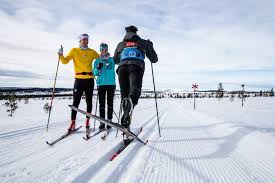 Image result for Scandinavian slope and cross country skiing