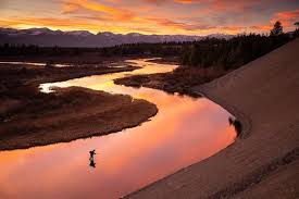 Image result for photos