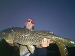 Image result for Bideford and District Angling Club