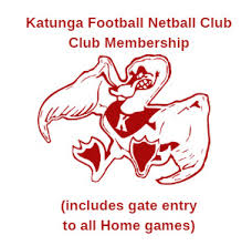 Image result for Jays Netball Club