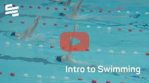 Image result for Fleetwood and District Swimming Club