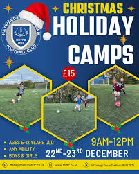 Image result for Haywards Heath Town Ladies Football Club