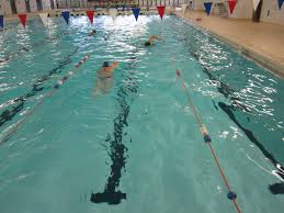 Image result for Haywards Heath Swimming Club