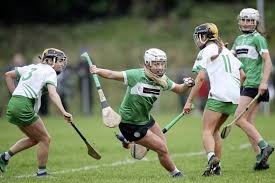 Image result for Ceann Creige Hurling and Camogie Club