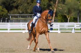 Image result for Fisher Equestrian