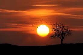 Image result for sunset