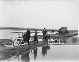 Image result for zeeland 1953