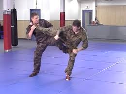 Image result for Combat Sambo