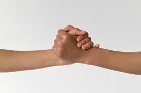 Image result for St. Albans Snorkelling Club (SASC)