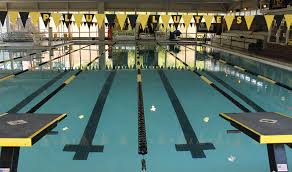 Image result for Lutterworth Swimming Club