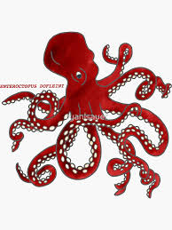 Image result for Enteroctopus dofleini