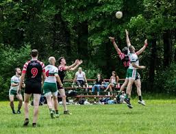 Image result for Wolfe Tones Gaelic Athletic Club