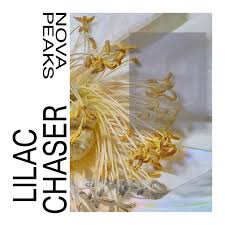 Image result for Lilac Chaser
