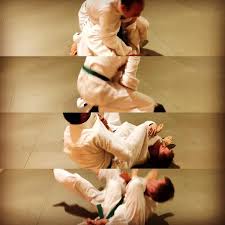 Image result for Roswell Martial Arts KA