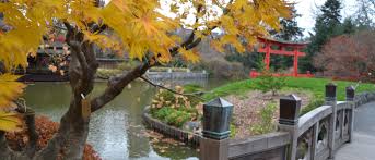 Image result for japanese gardens...