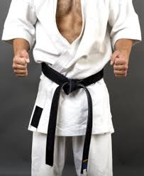 Image result for Martial Arts London