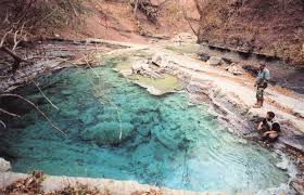 Výsledek obrázku pro yungas