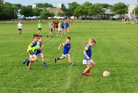 Image result for Ballerin Gaelic Athletic Club