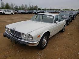 Image result for Cirrus Gray 1983 Jaguar