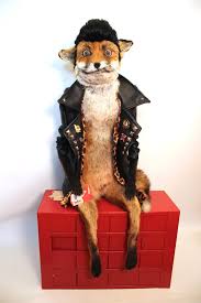Image result for biker fox