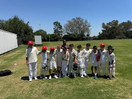 Image result for Old Stacians Cricket Club