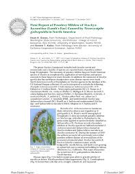 Attēlu rezultāti vaicājumam “Erysiphe galeopsidis”