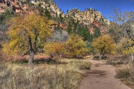 Image result for $$fall_akte__ort$$