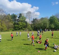 Image result for Wilmslow Rugby Union Football Club