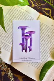 Attēlu rezultāti vaicājumam “Laccaria amethystina”