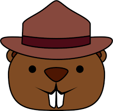 Image result for Beaver Sc