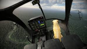 Image result for EA7 Optica