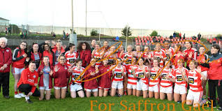 Image result for St Paul`s Gaelic Football Club