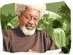 Wole Soyinka - _44194869_wole_soyinka_203co