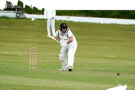 Image result for Salfords Cricket Club