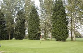 Image result for Tilsworth Golf Club