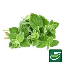 Image result for Oregano