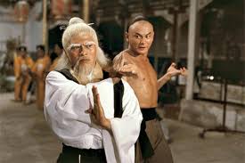 Image result for kung fu