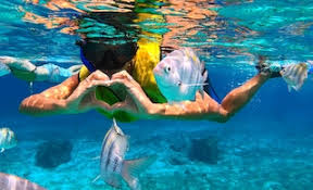 Image result for Stalybridge Snorkel Club