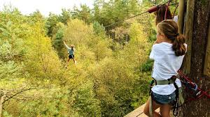Image result for Go Ape! Leeds Castle