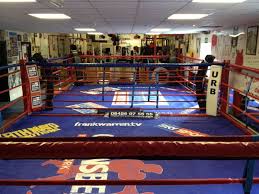 Image result for Uwe Boxing Club