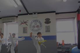 Image result for Plymouth Karate Club Kyokai